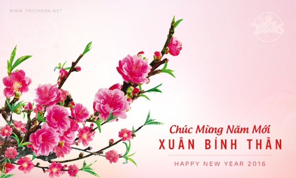 CẢM NHẬN NGÀY TẾT