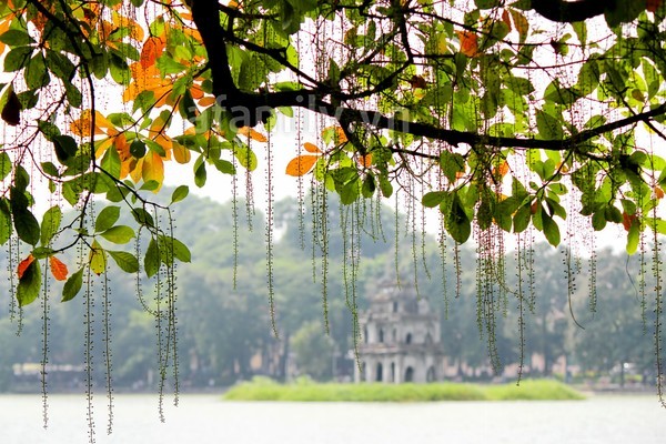 CẢM XÚC MÙA THU