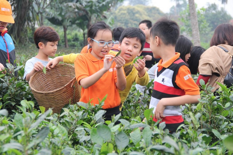 CHUYẾN ĐI THAM QUAN TRANG TRẠI ĐỒNG QUÊ BA VÌ - TRƯỜNG TIỂU HỌC QUỐC TẾ THĂNG LONG NĂM HỌC 2016 - 2017