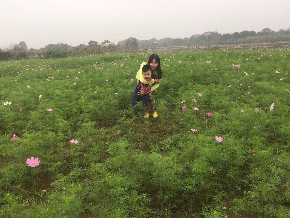 Gửi con trai yêu quý của mẹ!