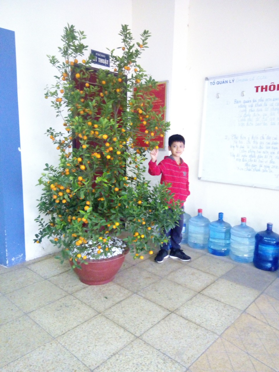 Ngày Tết