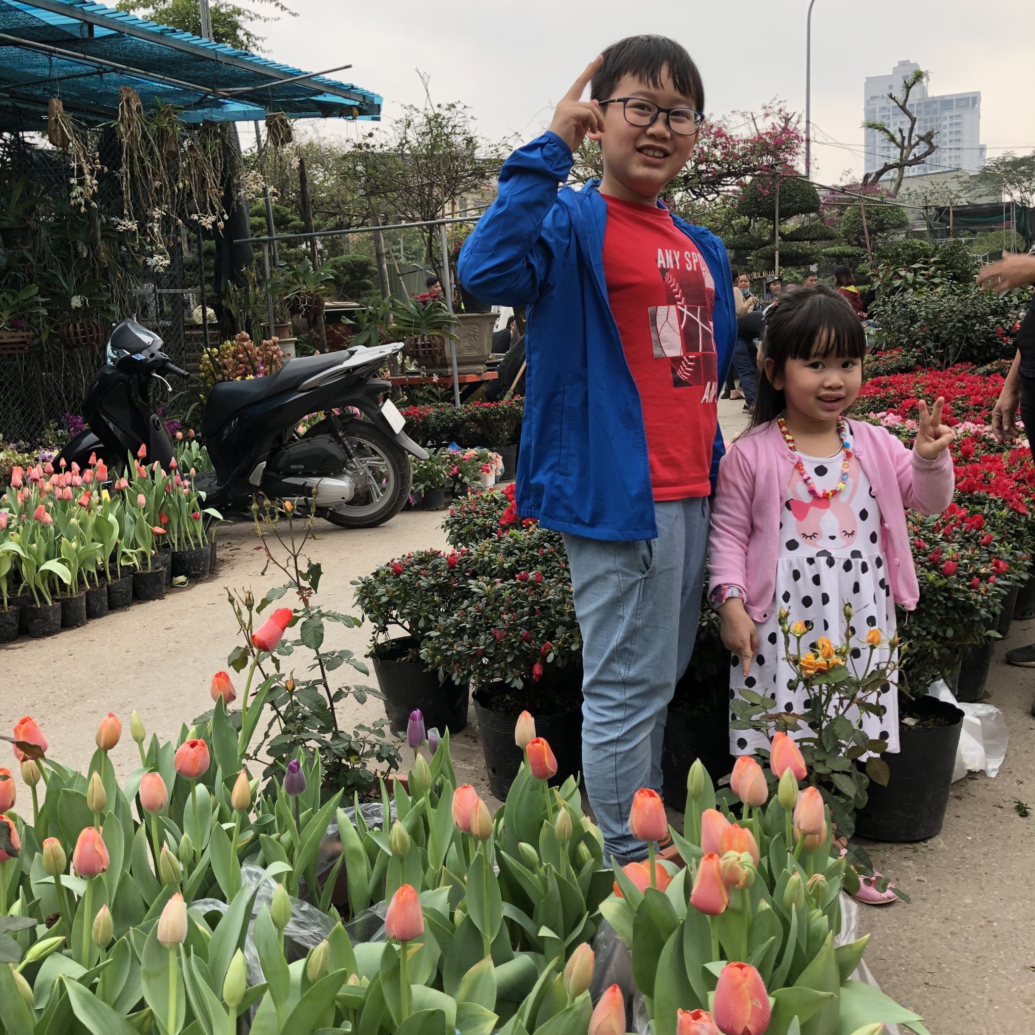 Tết của chúng em