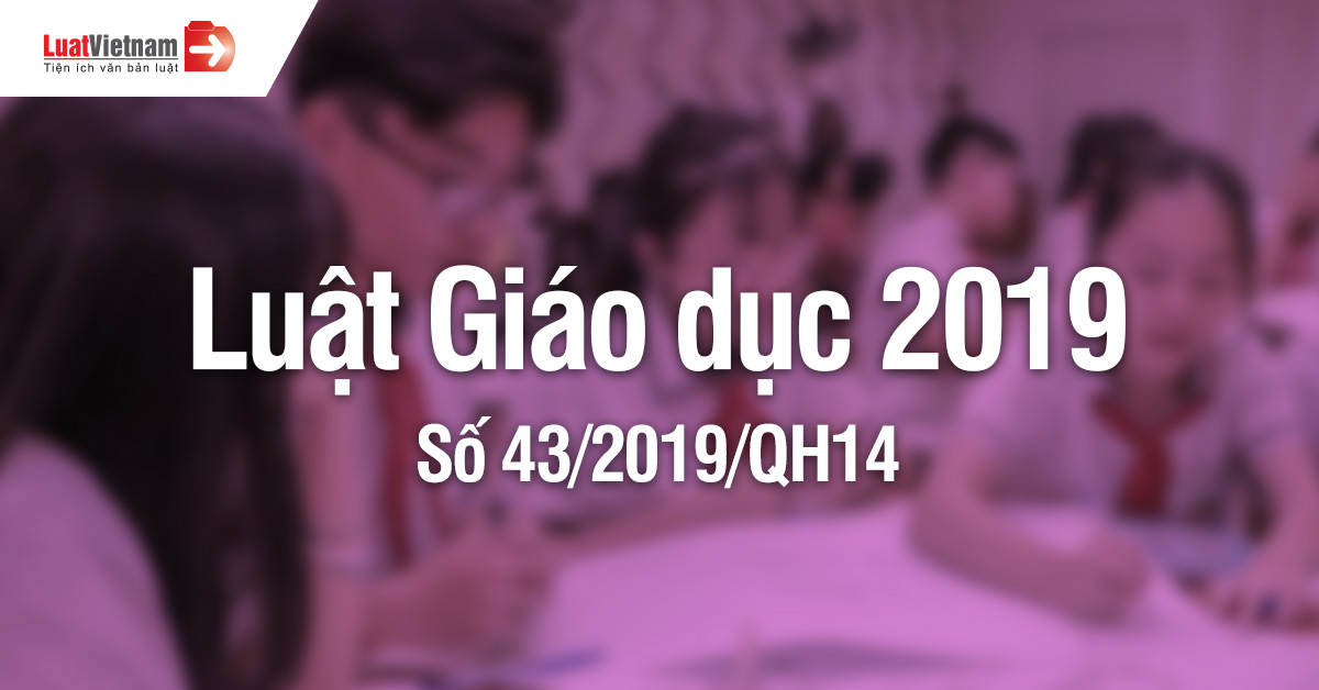 Luật giáo dục 2019 ( phần 4)