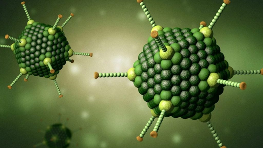 BẢN TIN PHÒNG CHỐNG BỆNH DO ADENOVIRUS GÂY RA