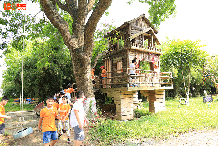 Hình ảnh hoạt động