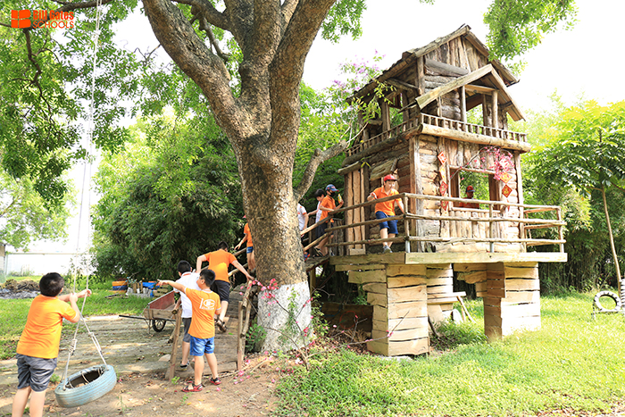 Hình ảnh hoạt động