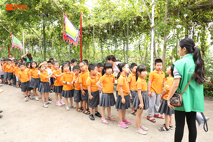 Hình ảnh hoạt động