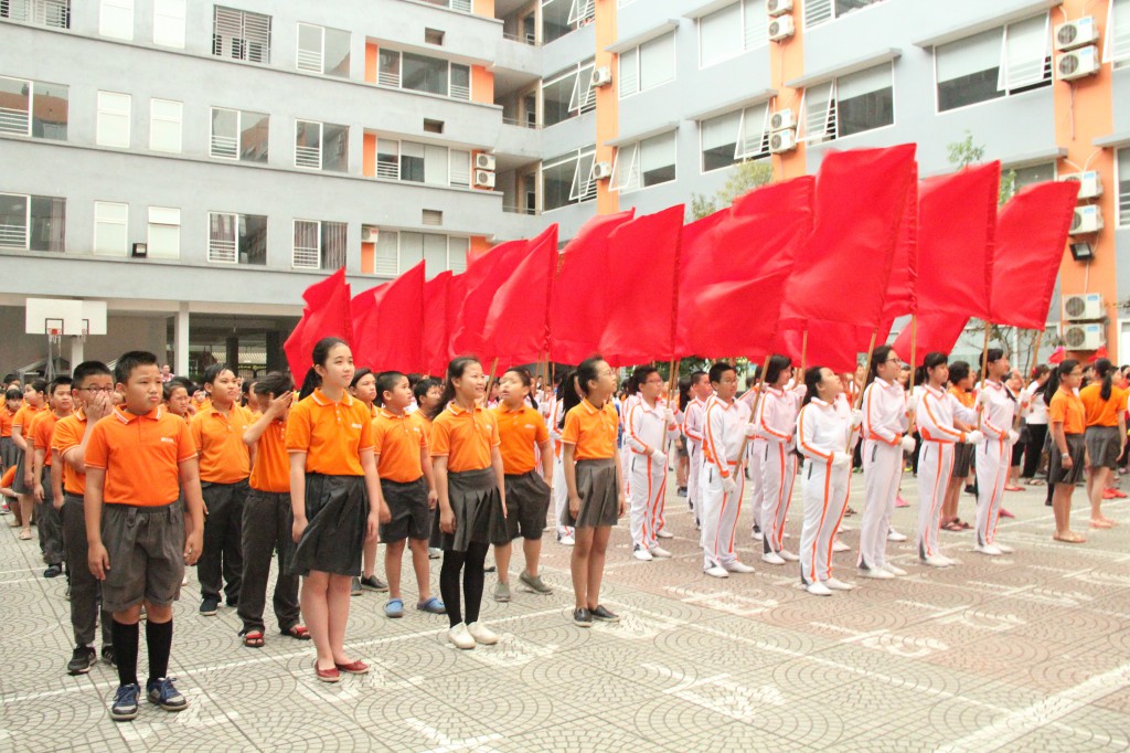 Hình ảnh hoạt động