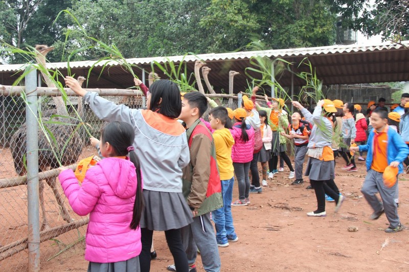 Hình ảnh hoạt động