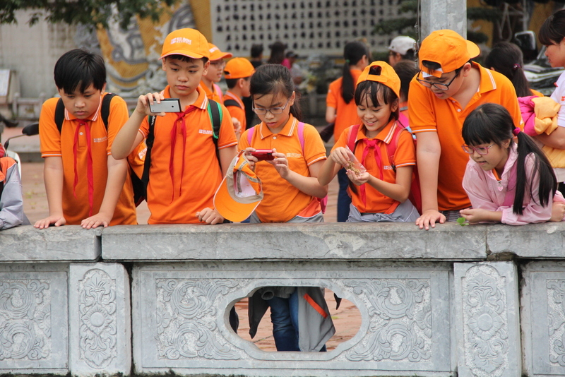 Hình ảnh hoạt động