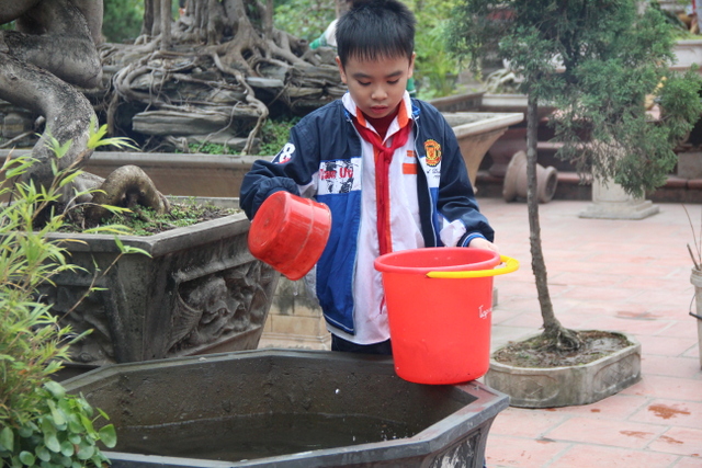 Hình ảnh hoạt động