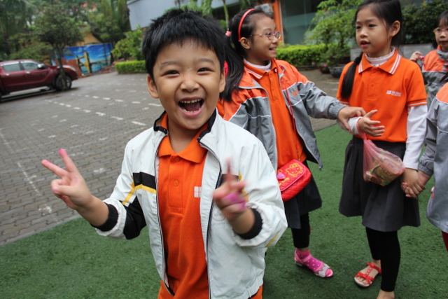 Hình ảnh hoạt động
