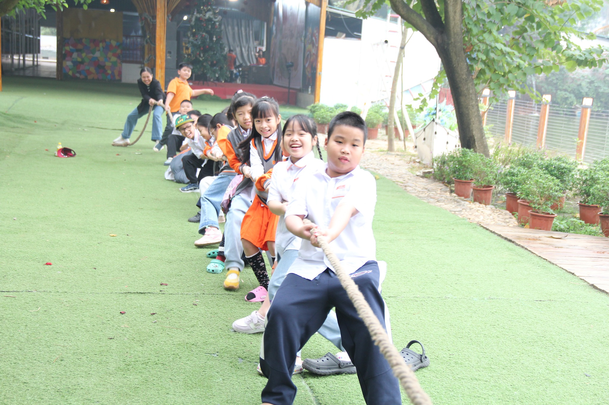 Hình ảnh hoạt động