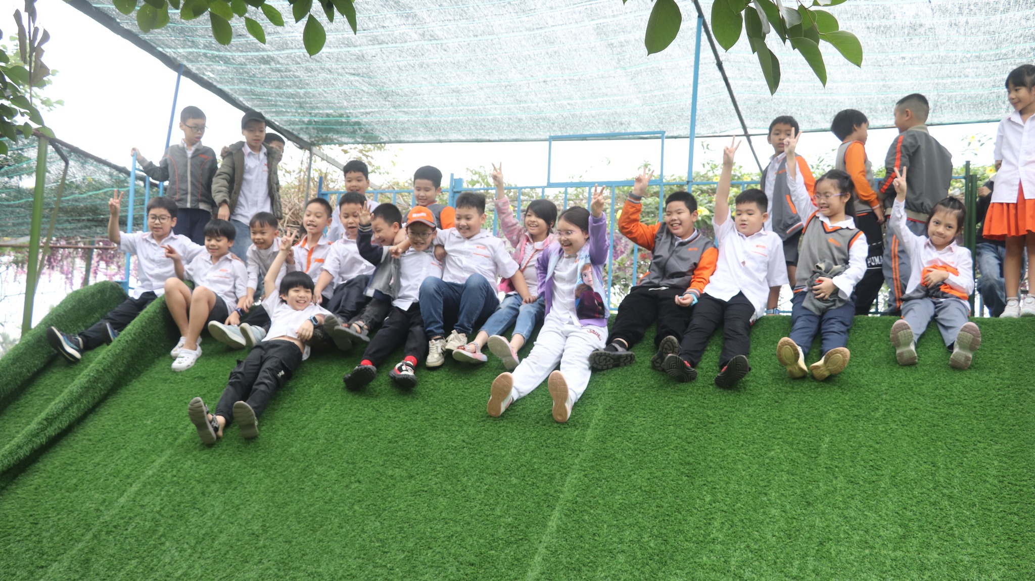 Hình ảnh hoạt động