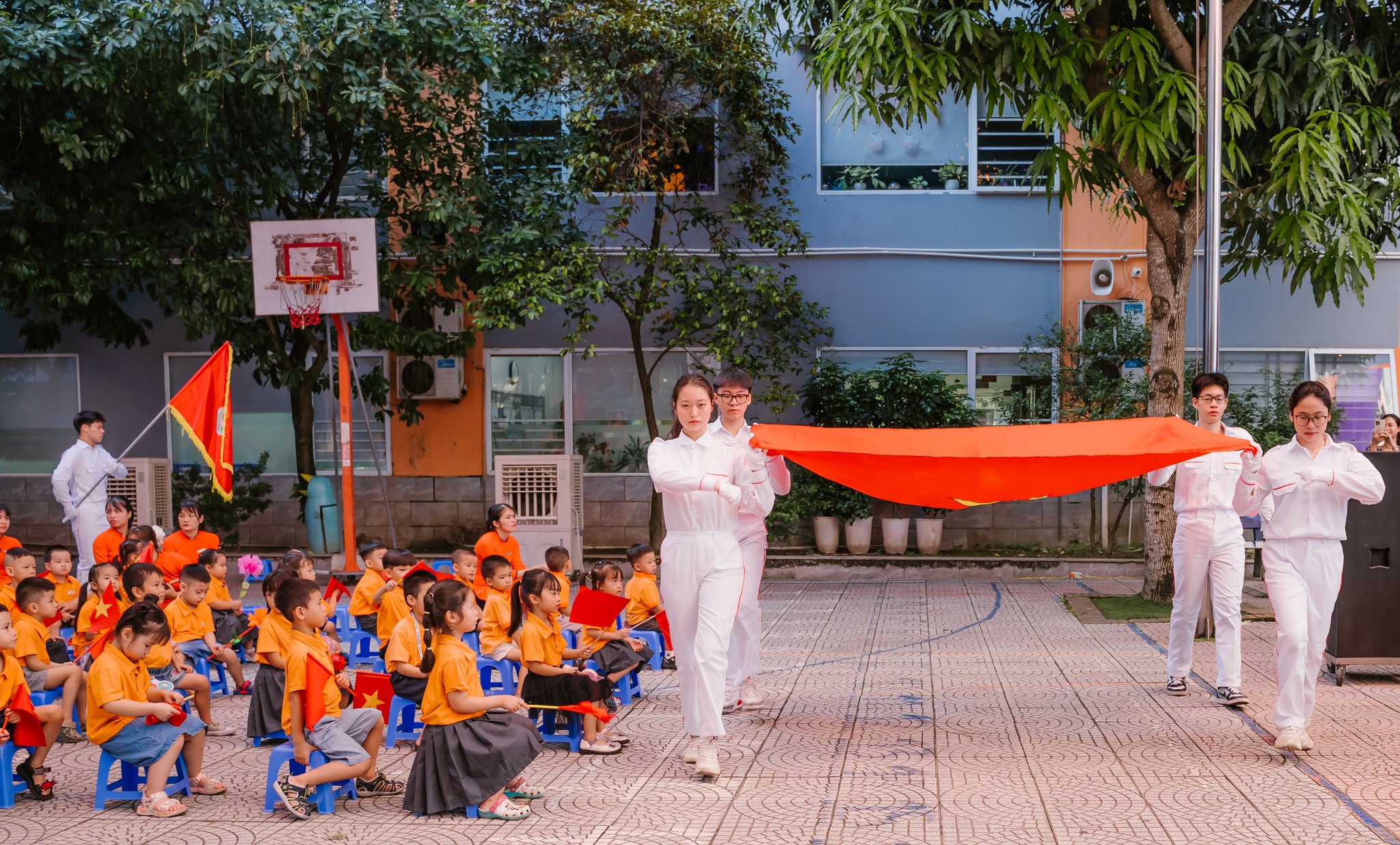Hình ảnh hoạt động