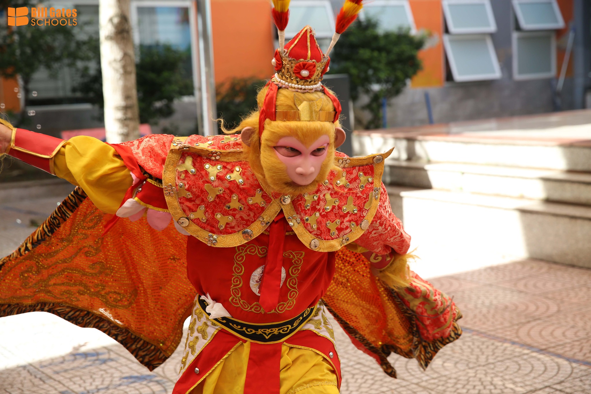 Hình ảnh hoạt động