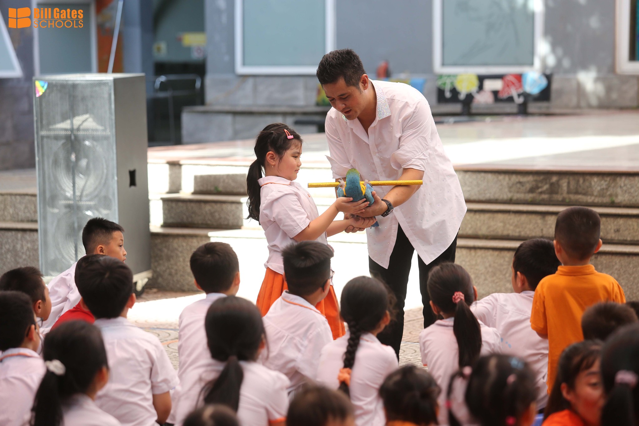 Hình ảnh hoạt động