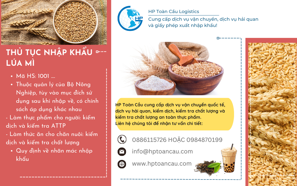 Thủ tục nhập khẩu lúa mì
