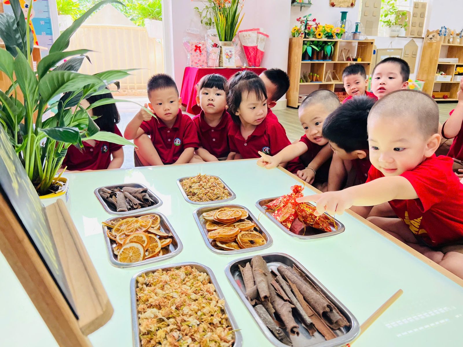 🌸 DỰ ÁN