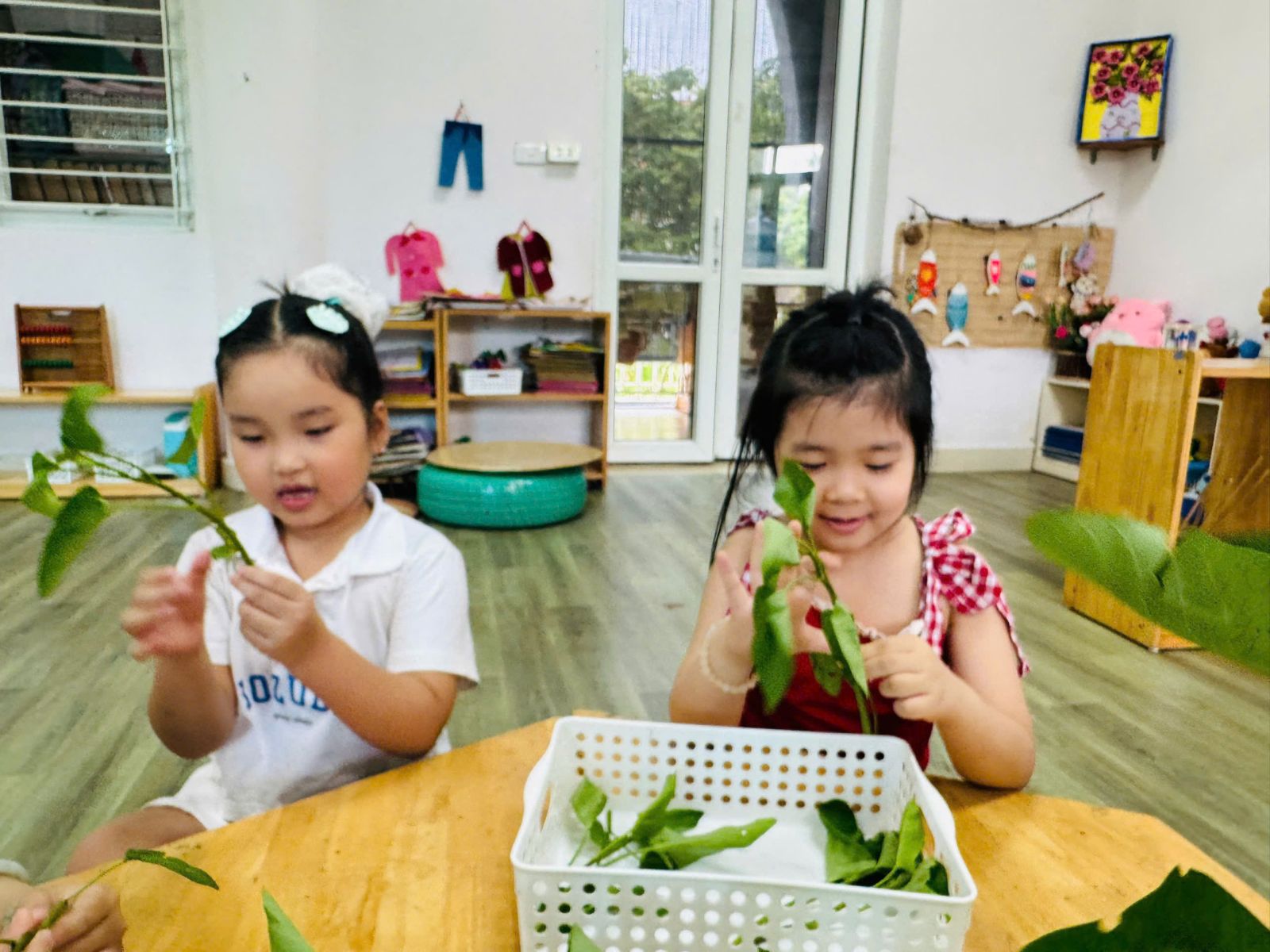 🍀🍀 CÁC BÉ LỚP MẪU GIÁO LỚN VỚI HOẠT ĐỘNG DẠY KỸ NĂNG: NHẶT RAU MUỐNG