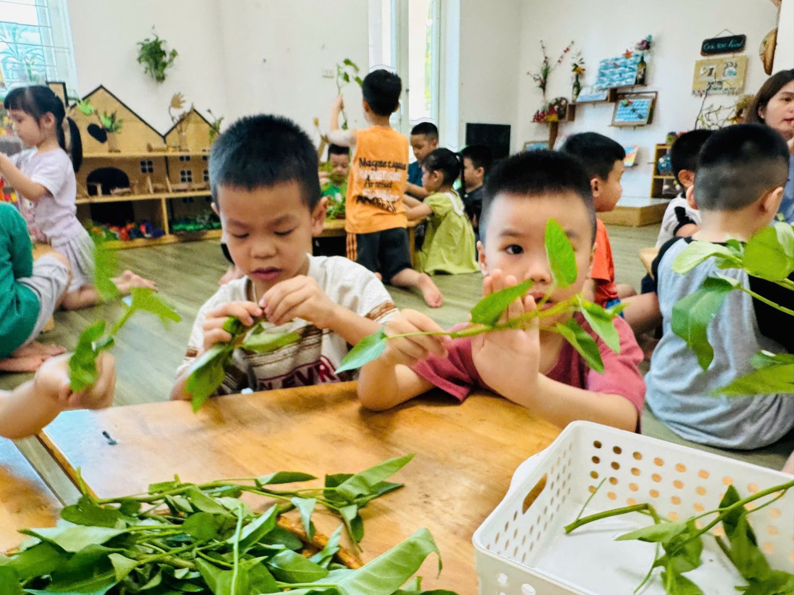 🍀🍀 CÁC BÉ LỚP MẪU GIÁO LỚN VỚI HOẠT ĐỘNG DẠY KỸ NĂNG: NHẶT RAU MUỐNG