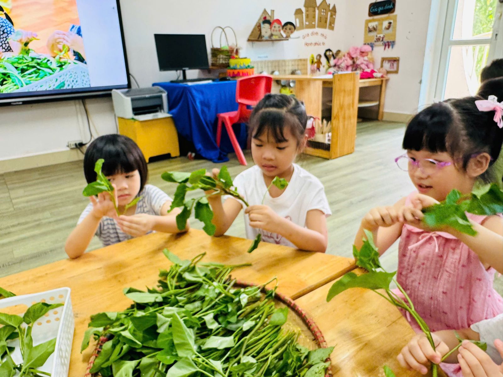 🍀🍀 CÁC BÉ LỚP MẪU GIÁO LỚN VỚI HOẠT ĐỘNG DẠY KỸ NĂNG: NHẶT RAU MUỐNG