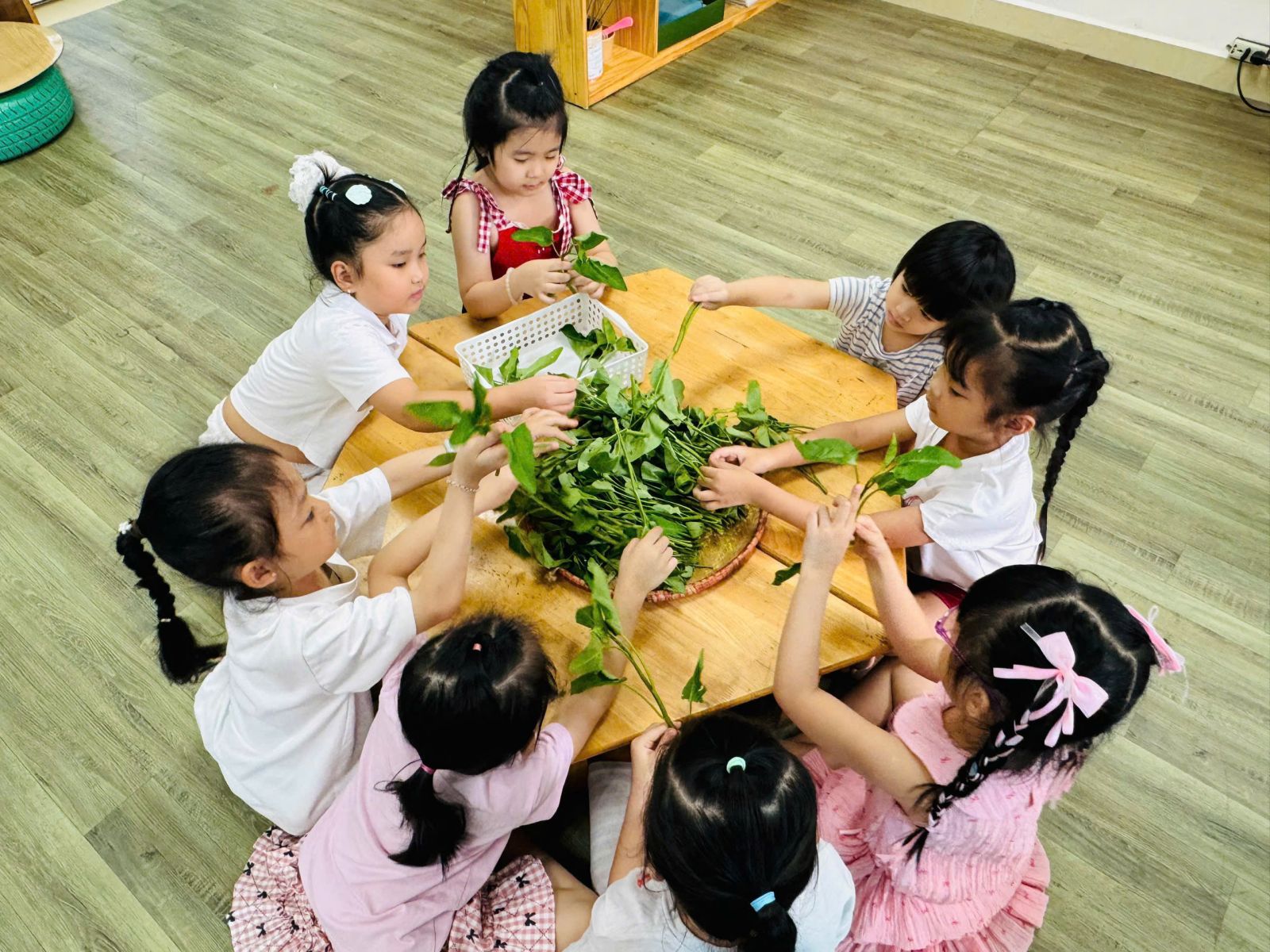 🍀🍀 CÁC BÉ LỚP MẪU GIÁO LỚN VỚI HOẠT ĐỘNG DẠY KỸ NĂNG: NHẶT RAU MUỐNG