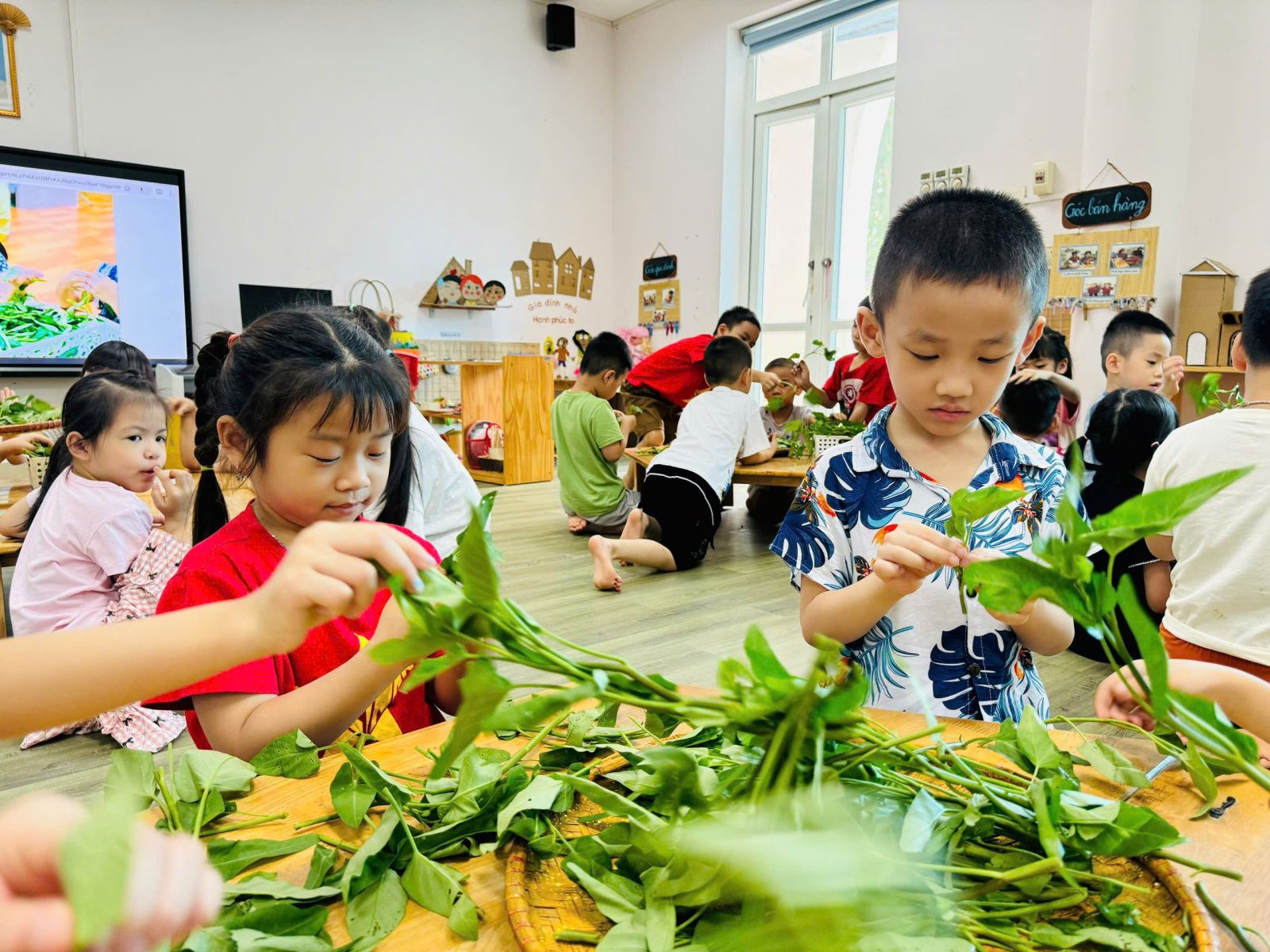 🍀🍀 CÁC BÉ LỚP MẪU GIÁO LỚN VỚI HOẠT ĐỘNG DẠY KỸ NĂNG: NHẶT RAU MUỐNG