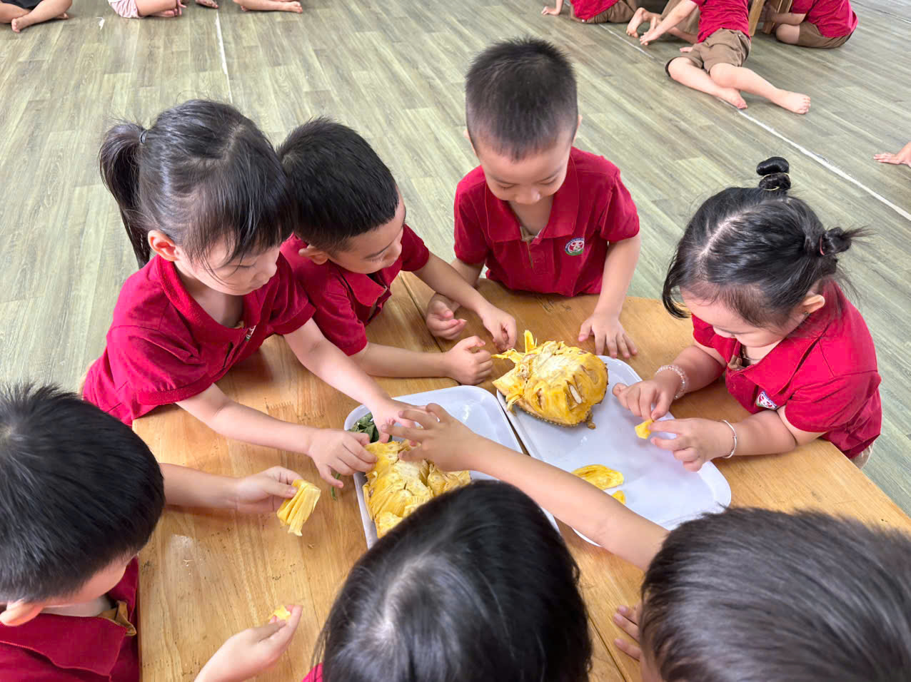 Học sinh lớp A1 đến với giờ học : Khám phá quả mít