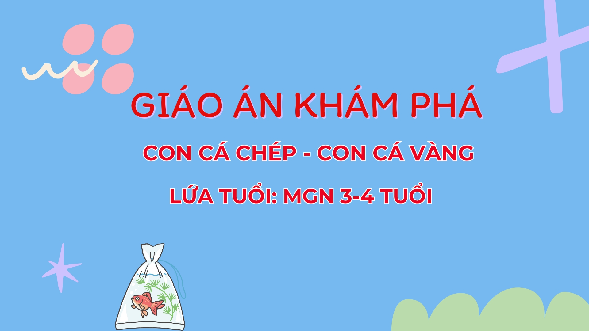 Giáo án