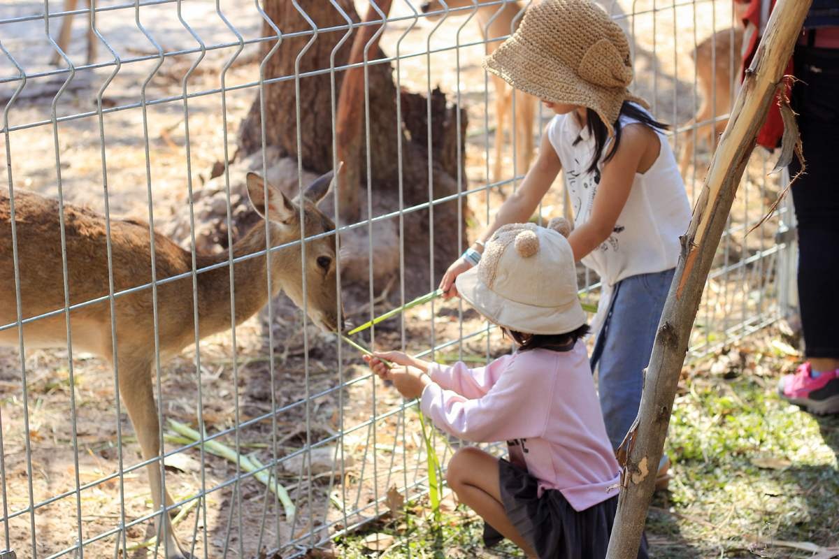 trai-nghiem-suoi-nuoc-nong-binh-chau-nguon-khoang-nong-tu-nhien-duy-nhat-tai-mien-nam-07-1650853577.jpeg