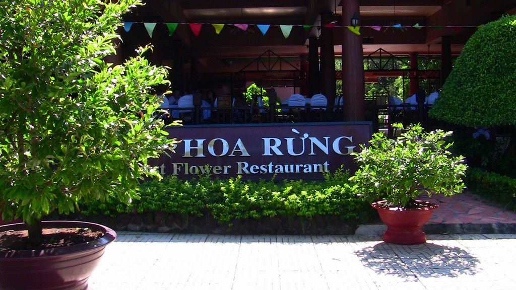 trai-nghiem-suoi-nuoc-nong-binh-chau-nguon-khoang-nong-tu-nhien-duy-nhat-tai-mien-nam-08-1650853577.jpeg