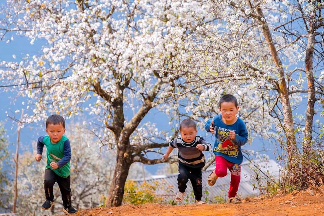 Dân số của bản Nậm Nghiệp, xã Ngọc Chiến, huyện Mường La