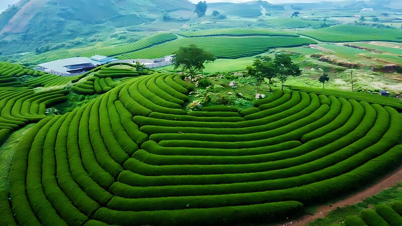 Giới thiệu Sơn La