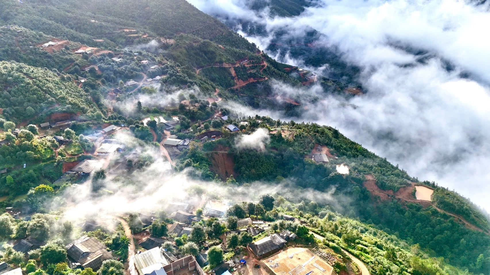 Sỏi Ecologe tuyển dụng nhân sự làm việc tại Ngọc Chiến