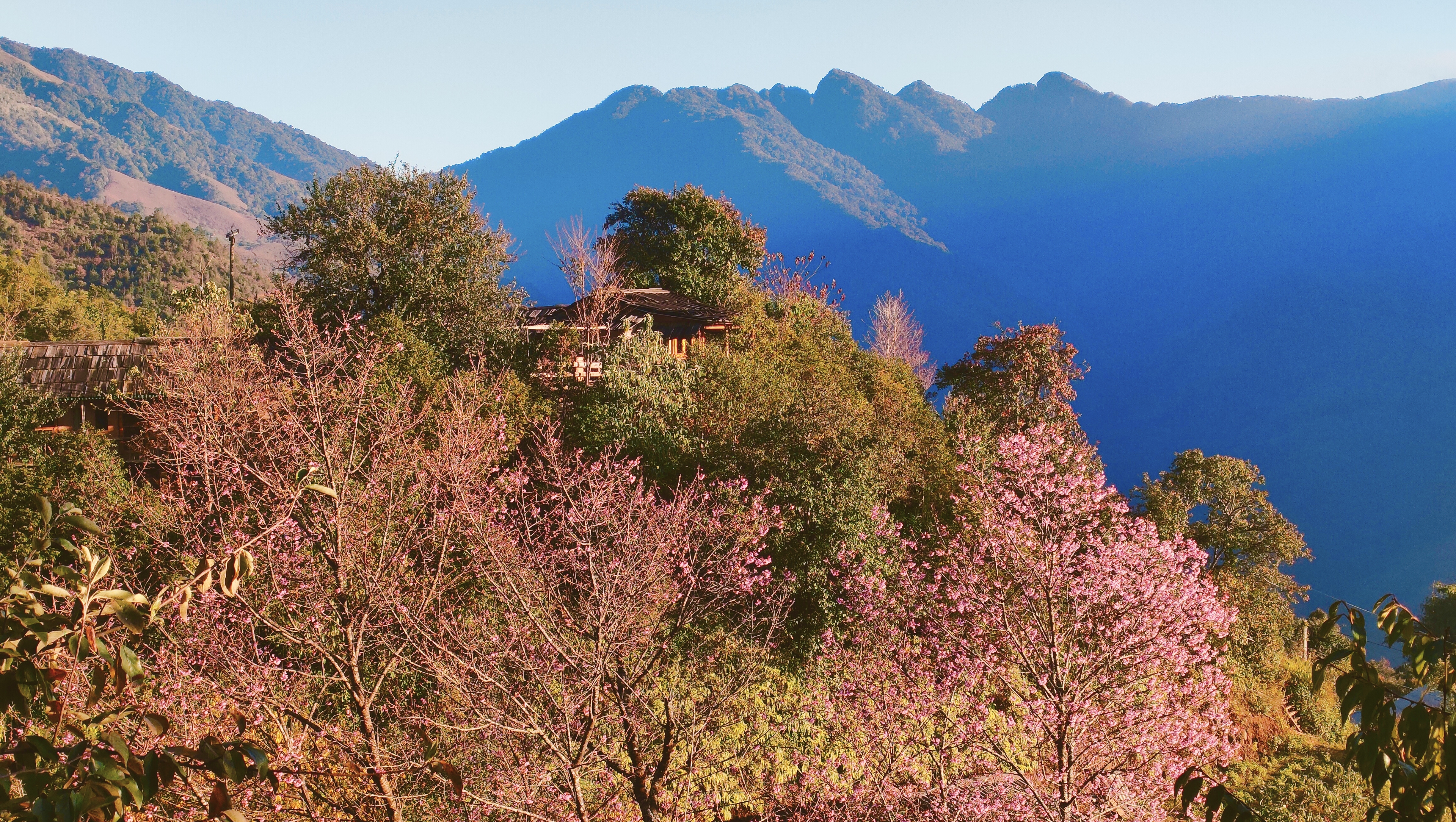 Tour 3N2D Hà Nội - Phình Hồ - Nậm Nghẹp