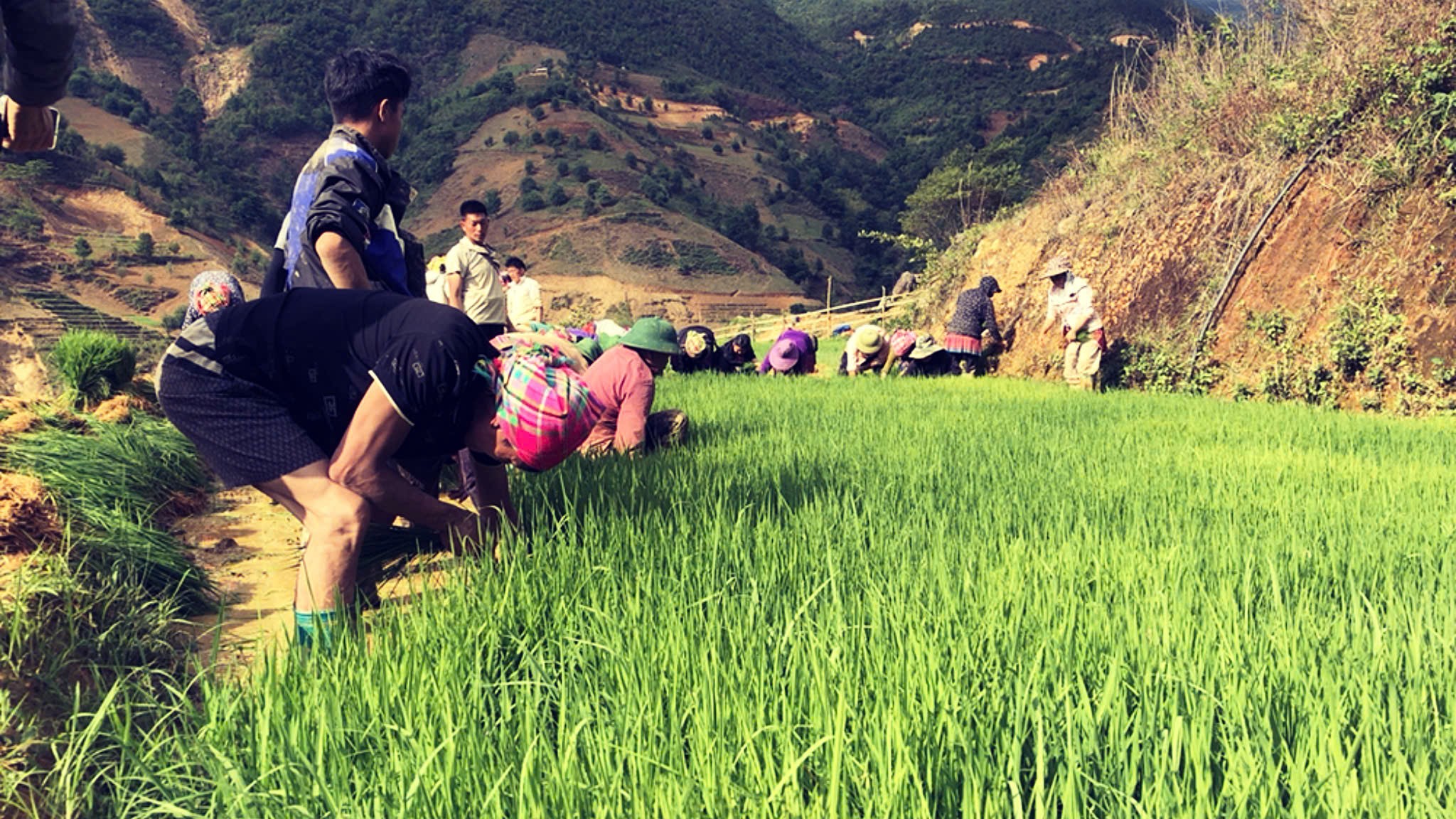 Nậm Nghiệp: Tài nguyên nước