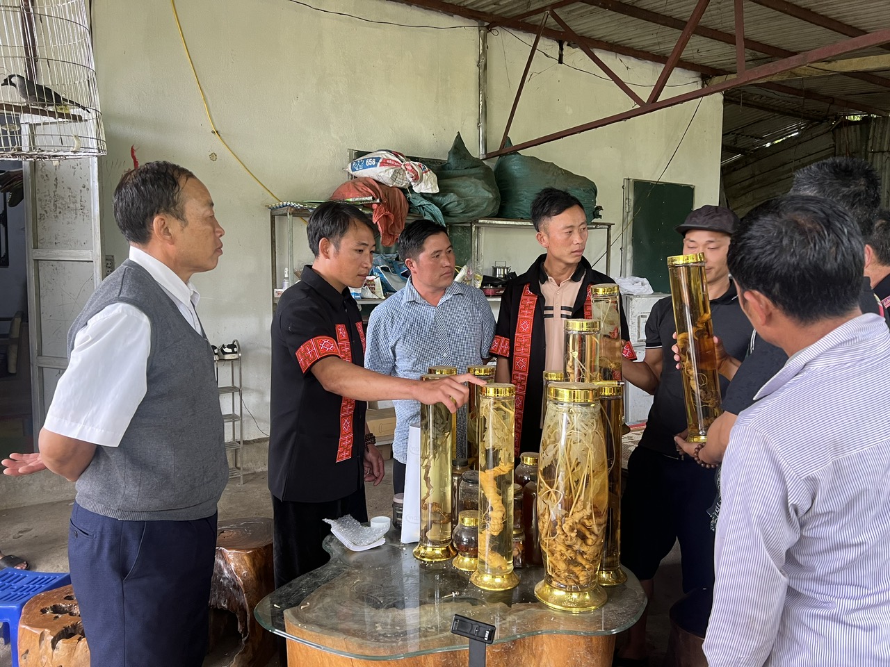 HTX Nậm Nghẹp tham quan học tập tại Lai Châu: Học làm du lịch cộng đồng và trồng sâm để làm giàu cho bản