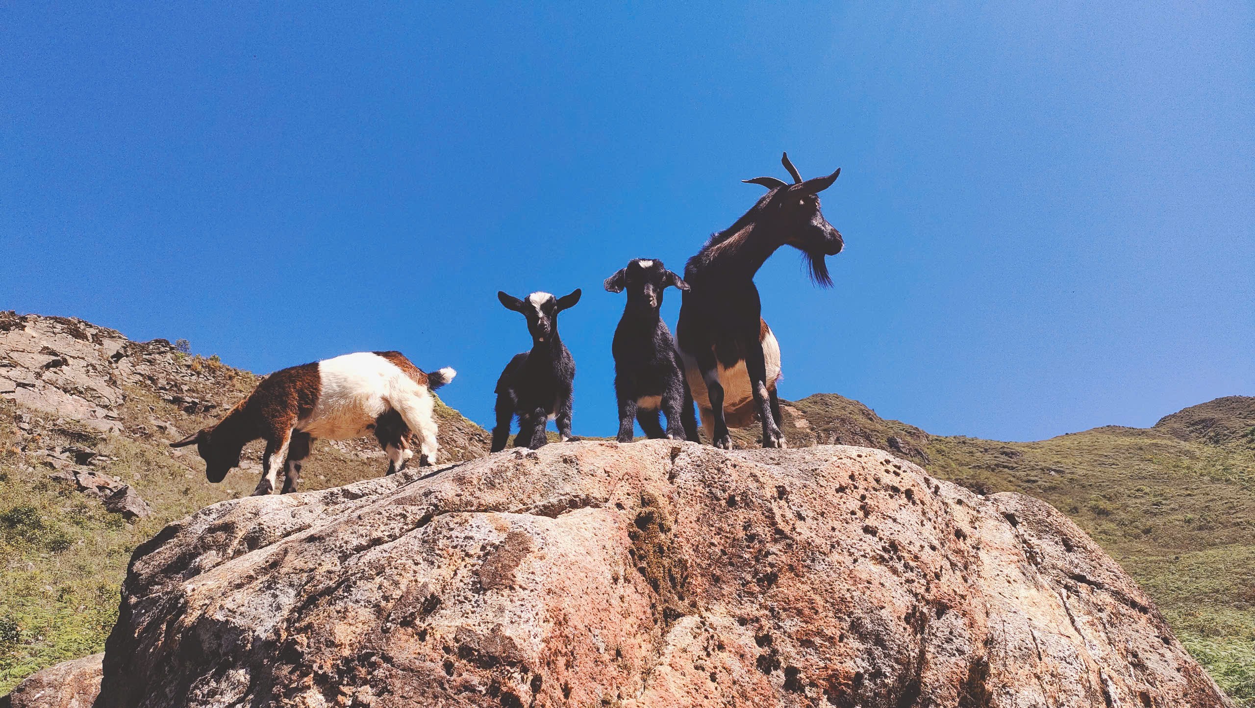 Miền Bắc mùa trekking: Khi rừng núi gọi tên – Tà Chì Nhù, Tà Tao và hành trình chạm vào vẻ đẹp nguyên sơ