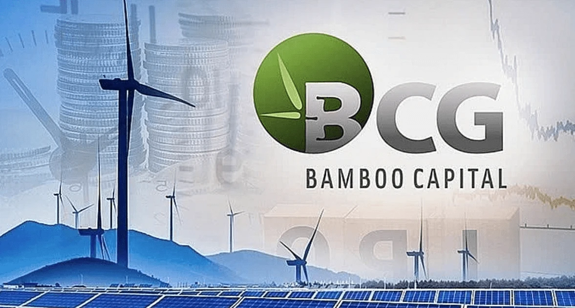 Từ doanh nghiệp nghìn tỷ đến hủy niêm yết: Điều gì xảy ra với Bamboo Capital?