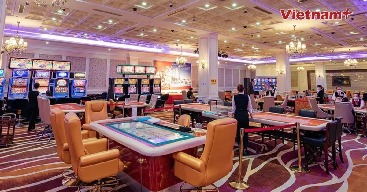 Casino Hạ Long bất ngờ báo lỗ quý II, doanh thu trò chơi giảm mạnh