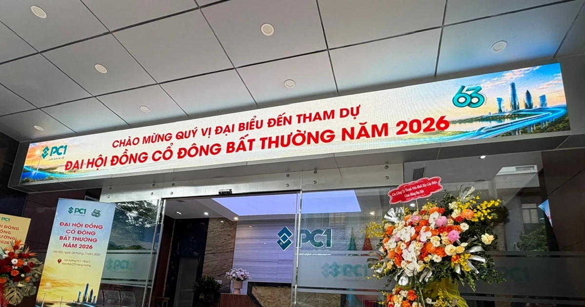 Cổ đông hỏi việc lãnh đạo PC1 bị khởi tố, Phó chủ tịch Phan Ngọc Hiếu nói gì?