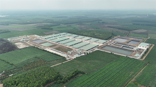 BAF lãi hơn 310 tỷ sau nửa đầu năm, sản lượng heo tăng mạnh