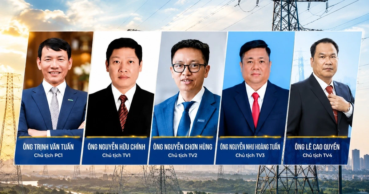 Hàng loạt doanh nghiệp điện làm ăn ra sao sau khi lãnh đạo bị bắt?
