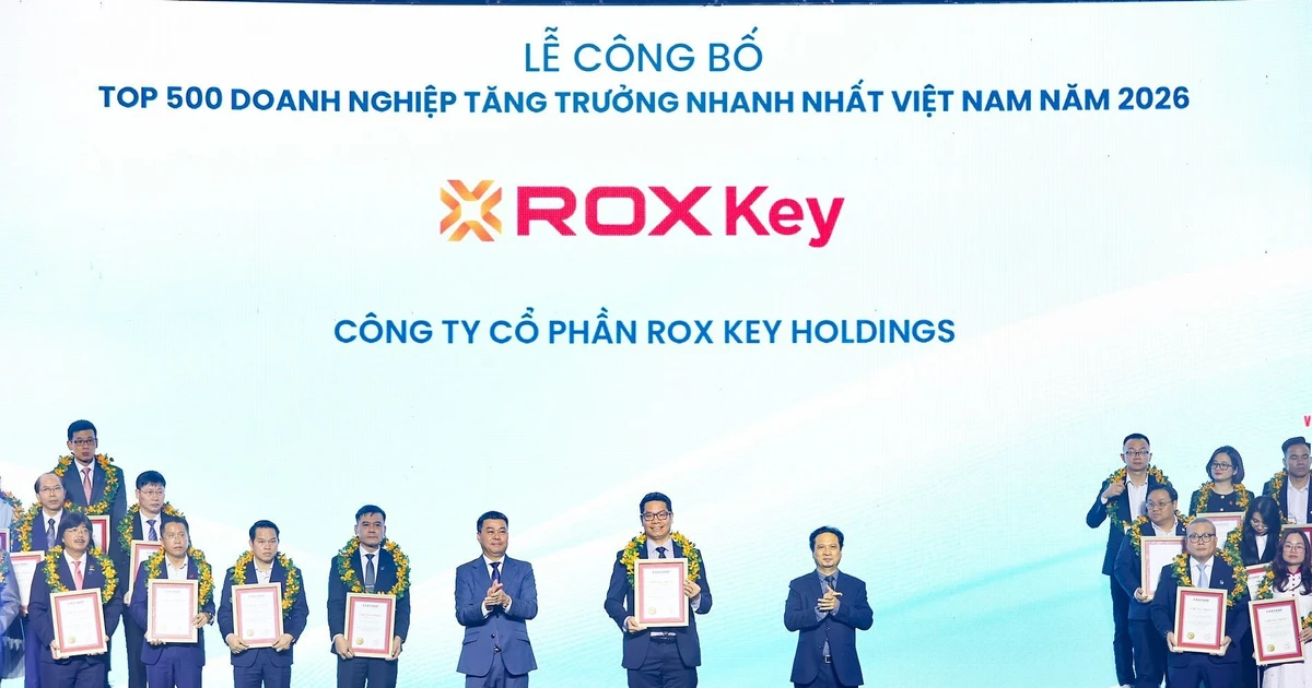 ROX Key Holdings tăng trưởng mạnh, sắp trả cổ tức bằng tiền mặt