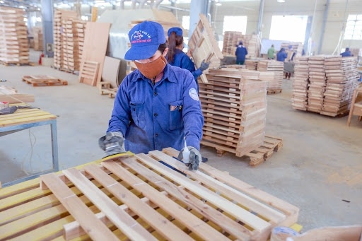 Phú Tài chốt tạm ứng cổ tức 1,000 đồng/cp