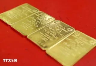 Giá vàng ngày 16/9: Bảng giá tại các công ty vàng bạc đá quý