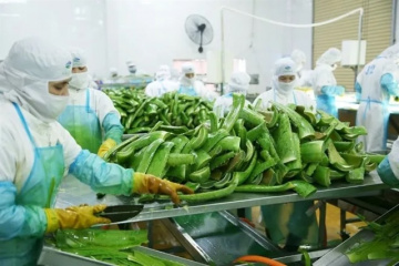 Sau khi về tay AIG, GCFood muốn mua lại hơn 9% lượng cổ phiếu lưu hành