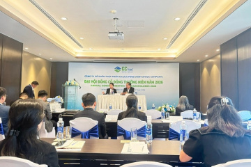 ĐHĐCĐ GCF: Muốn mua lại hơn 9% cổ phiếu lưu hành, AIG nói gì về tương lai doanh nghiệp?