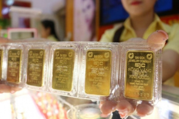 Giá vàng trong nước tăng 3,5 triệu đồng mỗi lượng phiên đầu tuần